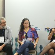 Mesa 11.3 - Brasil 2030: Cidades Inteligentes e Humanas. Indicadores Brasileiros de Cidades Inteligentes e Humanas